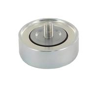 SKF Kit de galet tendeur VKM 65081 – Multi-V