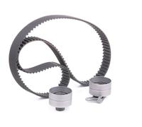 SKF Kit de distribution VKMA 92518