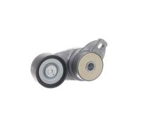 SKF VKMCV 53002 Poulie, tendeur de courroie d'accessoire