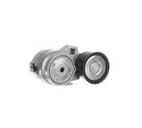 SKF VKMCV 54003 Poulie, tendeur de courroie d'accessoire