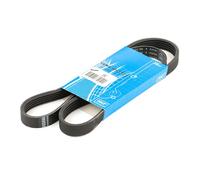 SKF Courroie trapézoïdale à nervures VKMV 5PK1121 Poly-V