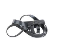 SKF VKMV 6PK1670 Courroie Poly-V