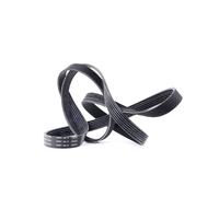 SKF Courroie Poly-V VKMV 6PK1800 pour BUICK, FORD, OPEL, RENAULT, DACIA, CHEVROLET