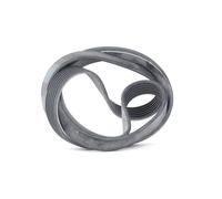 SKF VKMV 6PK1873 Courroie Poly-V