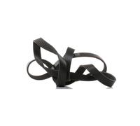 SKF VKMV 6PK1903 Courroie Poly-V