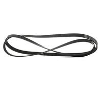 SKF Courroie Multi-V VKMV 6PK2155