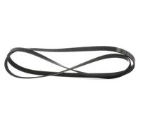 SKF VKMV 6PK2155 Courroie Poly-V