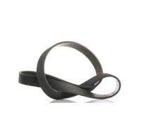 SKF VKMV 6PK966 Courroie Poly-V