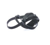 SKF VKMV 7PK2035 Courroie Multi-V