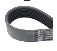 SKF VKMV 8PK2035 Courroie Poly-V