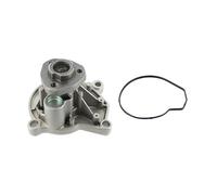 SKF Pompe à eau VKPC 81301 pour SEAT, SKODA, VW – avec joints pour VW Polo V 3/5 portes (6R1, 6C1)