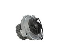 SKF VKPC 81606 Pompe à eau