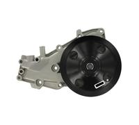 SKF Pompe à eau VKPC 86206