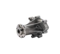 SKF Pompe à eau 7316571811666