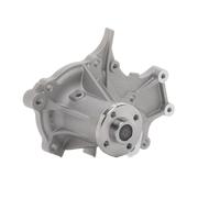 SKF VKPC 96402 Pompe à eau