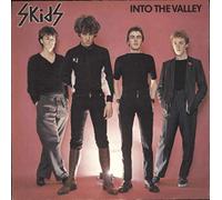 SKIDS - SKIDS into the valley, 7 inch single, white vinyl, VS 241