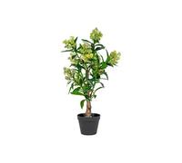 Skimmia Japonica décoratif artificiel hauteur 75cm - SIMMIA -