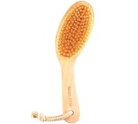 Skin Gym Brosse exfoliante pour le corps sec avec poils doux et rigides pour le traitement de la cellulite, le drainage lymphatique et l'amélioration de la circulation sanguine
