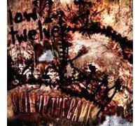 Skin In The Game (Cd/Dvd)