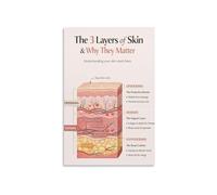 Skin Tissue Poster Illustrating Three Main Layers