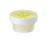 SKINFOOD - Lemon Dill Butter Food Mask Lip Balm - Baume à lèvres