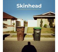 Skinhead It's a Beautiful Day, What a Beautiful Day (Vinyl)