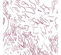 Tom Skinner - Voices of Bishara