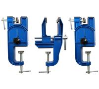 SKINSTAR Universel Ski Vise Course Tendeurs Porte-Skis Plus World Cup