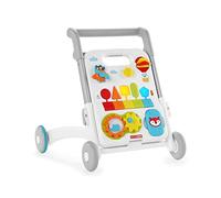 Skip Hop E&m Grow Along 4 In 1 Activity Walker Clair