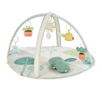 Skip Hop Salle De Sport D´activités Oasis De Jardin