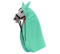 SKIPPI Cape pour Hobby Horse - Menthe, Hobby Horse Accessoire, Cape à Capuche pour Tête de Cheval à Chevaucher A4 - A3