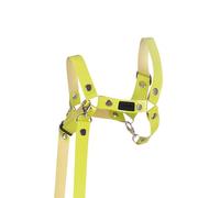 SKIPPI Licol pour Hobby Horse - Vert Clair, en Similicuir, Rênes, Hobby Horse Accessoire, Taille Universelle