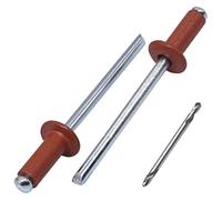 SKIR'CO (100 pièces) Rivets aveugles peints 4,0 x 10 mm, rivets pop en aluminium, foret inclus (brun cuivre RAL 8004)