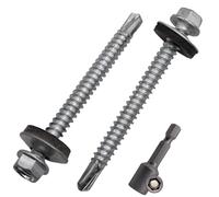 SKIR'CO (30 pièces) Vis à toiture zinguées 5,5 x 60 mm, tête hexagonale, vis autoperceuses DIN 7504-K avec rondelles d'étanchéité EPDM