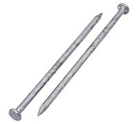 SKIR'CO Lot de 10 clous de construction plaqués zinc 4,0 x 100 mm Clous en acier pour le travail du bois