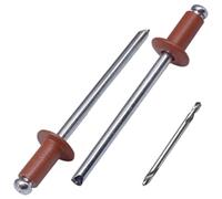 SKIR'CO Lot de 100 rivets aveugles peints 4,0 x 8 mm en aluminium avec foret inclus (marron cuivré RAL 8004)