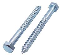 SKIR'CO Lot de 20 vis à bois à tête hexagonale DIN 571 en acier zingué M12 x 120 mm