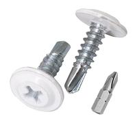 SKIR'CO Lot de 400 vis autoforeuses peintes 4,2 x 16 mm, tête de réglage modifiée Phillips Vis à tôle Tête gaufrée (400, Blanc Pur RAL 9010)