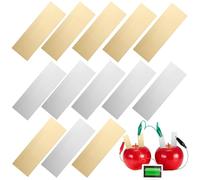 SKISUNO Bandes Zinc Cuivre 10 Paires 5X2Cm Accessoires pour Fabrication Piles Fruits Projet Scientifique Scolaire