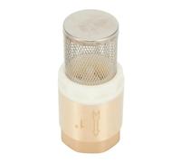 SKLIQMMV Clapet de Pied en Laiton à Filetage Interne BSP 1 Pouce DN25 avec clapet Anti-Retour, Panier d'aspiration en Acier Inoxydable for Pompe à Eau et plomberie
