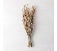 SKLUM Branche décorative Ainala Couleurs Naturelles