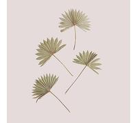 SKLUM Lot de 4 Branches séchées décoratives Urpek Vert Bambou
