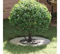 SKM Anneaux d'arbre Plats 5 pcs Argent Ø30 / 60 cm Acier galvanisé,Maison & Jardin,Pelouses & Jardins,Jardinage,Pots & Cache-Pots,Argent,6.2KG,873673