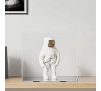 SKM Boîte d'affichage Transparente 40x36x35 cm Acrylique,Entreprise & Industrie,Commerce de détail,Vitrines de Vente au détail,Transparent,3.3KG,154916