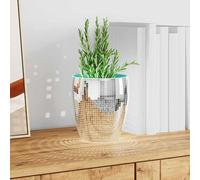 SKM Carreau de Miroir mosaïque 12 pcs Argent 30 x 30 cm Verre,Meubles,Accessoires pour la Division de pièces,Argent,3.5KG,42017628