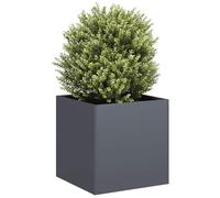SKM Jardinière Anthracite 40x40x40 cm Acier laminé à Froid,Maison & Jardin,Pelouses & Jardins,Jardinage,Pots & Cache-Pots,Anthracite,5KG,860663