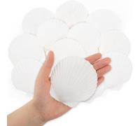 SKOOLOVE 16 PCS Coquilles Saint-Jacques Blanches,7-10 CM Grandes Coquilles Naturelles de Plage, Coquillages pour Artisanat, Décoration de Mariage, Fête à Thème Plage et Décoration Intérieure