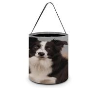 SKTNBM Sacs à friandises ou à friandises d'Halloween, seau fourre-tout imprimé Border Collie, seau cadeau fourre-tout, sac à bonbons à main d'Halloween, Border Collie, taille unique, Border Collie.,