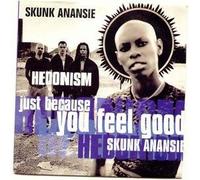 Skunk Anansie - Just Because You Feel Good (Hedonism)