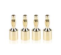 SKW connecteur banane